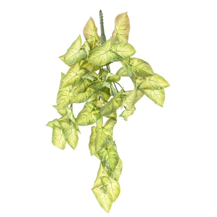 Künstliche Hängepflanze Syngonium, ca. 60cm