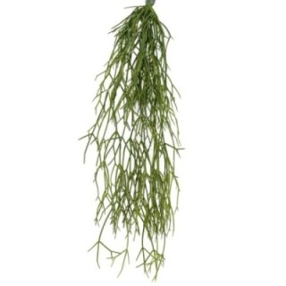 Künstliche Rhipsalis Hängepflanze, ca. 50cm