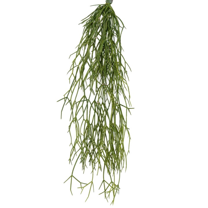 Künstliche Rhipsalis Hängepflanze, ca. 50cm