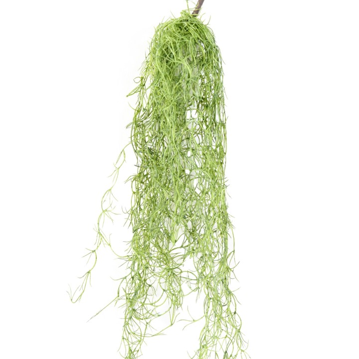 Künstliche Tillandsia, ca. 80cm