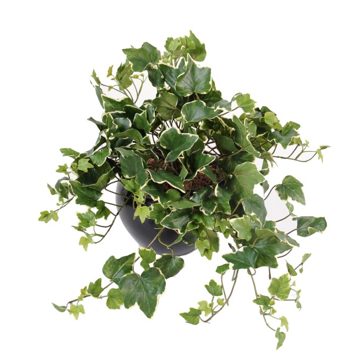 Künstliche Hängepflanze Ivy Gala, ca. 50cm