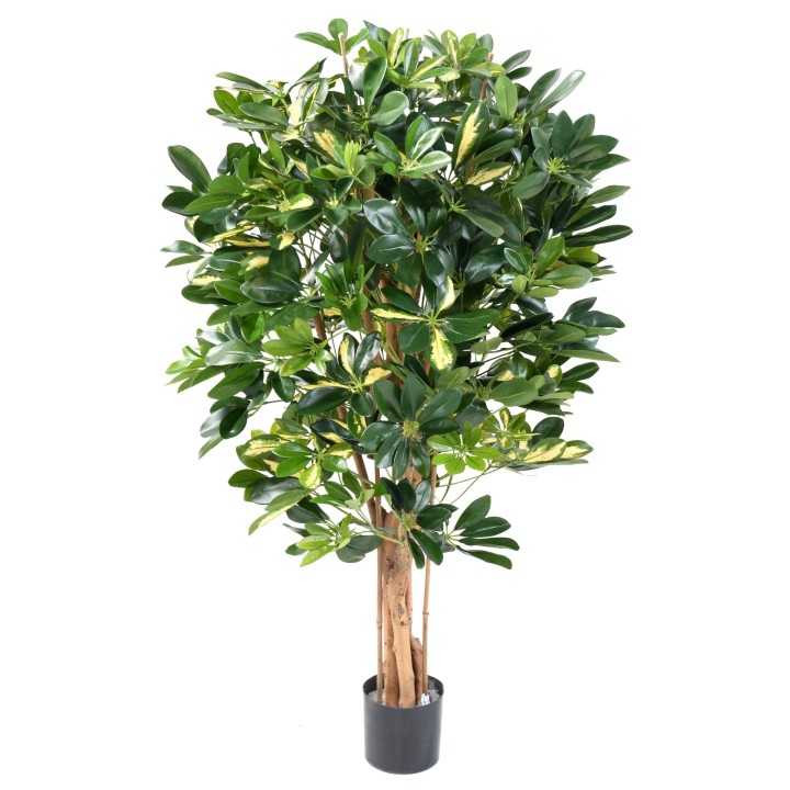 Künstlicher Schefflera, ca. 110cm hoch, grün