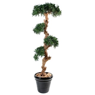 Künstlicher Podocarpus Wolkenbaum, ca. 110cm hoch, grün
