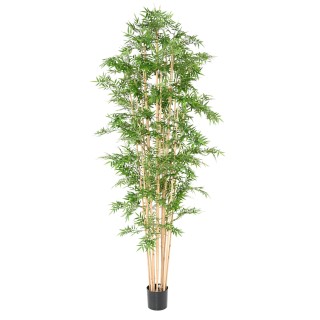Künstlicher Orientalischer Bambus, ca. 270cm hoch, grün