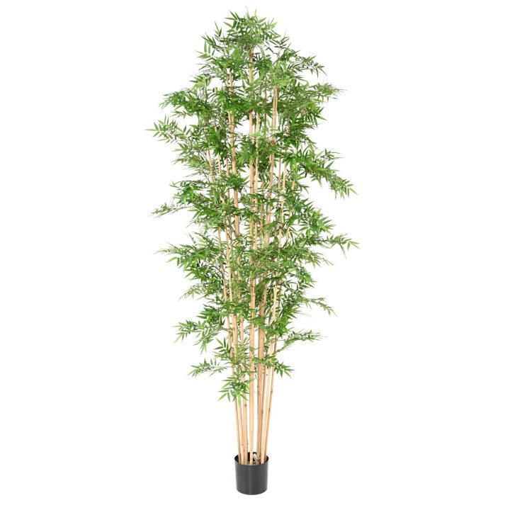 Künstlicher Orientalischer Bambus, ca. 270cm hoch, grün