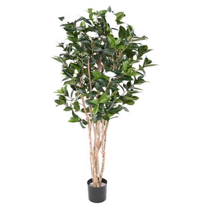 Künstlicher Kamelienbaum, ca. 160cm hoch, weiß