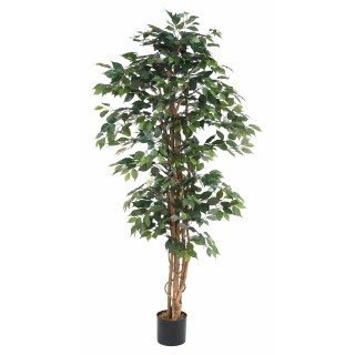 Künstlicher Ficus, ca. 190cm hoch, grün