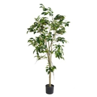 Künstlicher Ficus, ca. 150cm hoch, grün