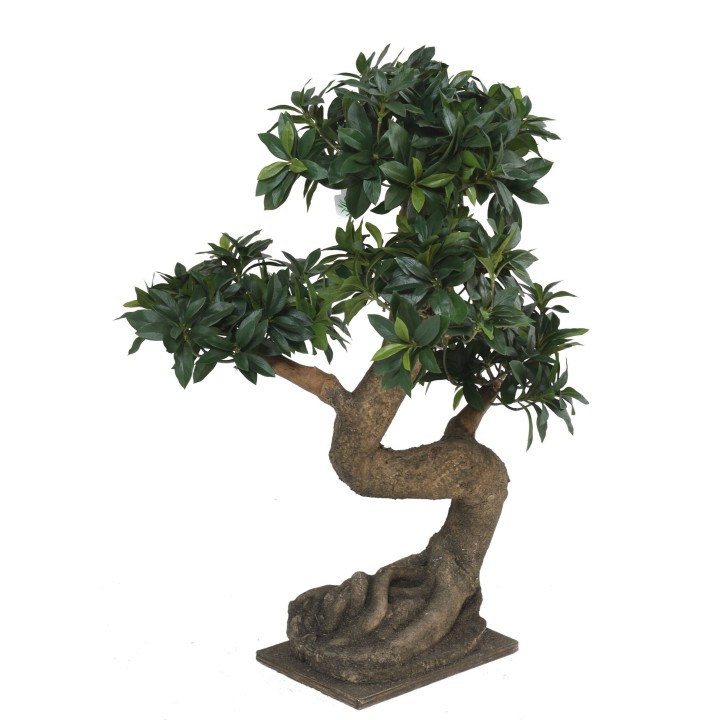 Künstlicher Ficus Bonsai, ca. 75cm hoch, grün