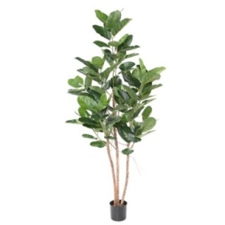 Künstlicher Ficus Audrey, ca. 190cm hoch, grün