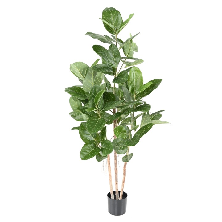 Künstlicher Ficus Audrey, ca. 150cm hoch, grün