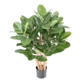 Künstlicher Ficus Audrey, (Gummibaum) ca. 100cm hoch, grün