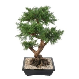 Künstlicher Bonsai-Juniperus, ca. 75cm hoch, grün
