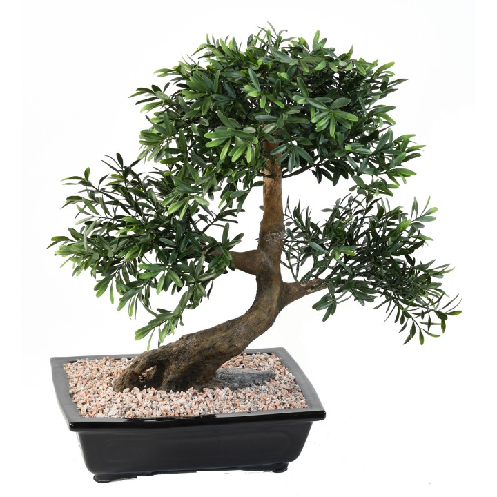 Künstlicher Bonsai Schwarz-Weide, ca. 50cm hoch, grün