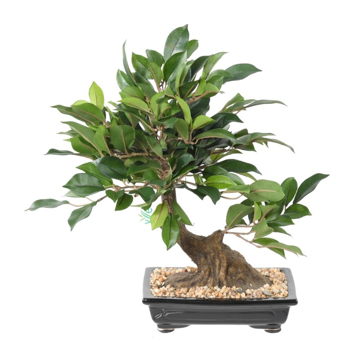 Künstlicher Bonsai Ficus, ca. 38cm hoch, grün