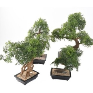 Künstlicher Bonsai Aralia, ca. 50cm hoch, grün