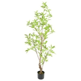 Künstlicher Aralia Plerandra, ca. 145cm hoch, grün