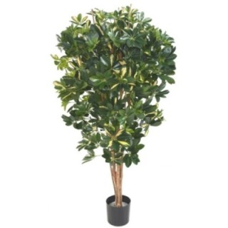 Künstliche Schefflera, ca. 150cm hoch, grün