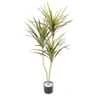 Künstliche Dracaena, ca. 140cm hoch, grün