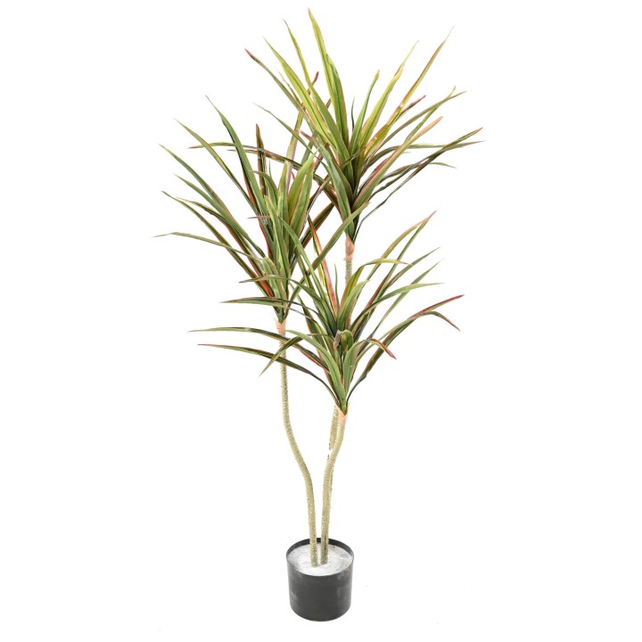 Künstliche Dracaena, ca. 140cm hoch, grün