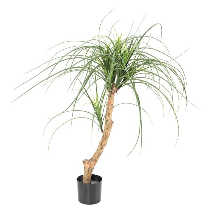 Künstliche Beaucarnea, ca. 90cm hoch, grün