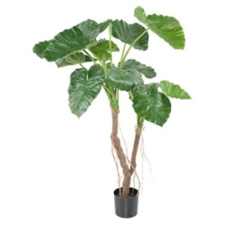 Künstliche Alocasia Calidora, ca. 130cm hoch, grün