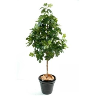 Künstlicher Feigenbaum, ca. 170cm hoch, grün