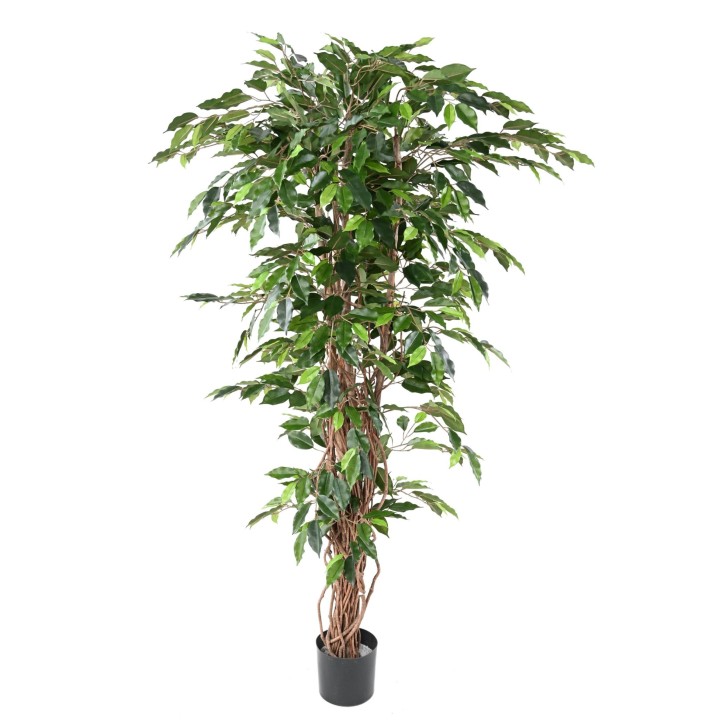 Künstlicher Ficus, ca. 180cm hoch, grün