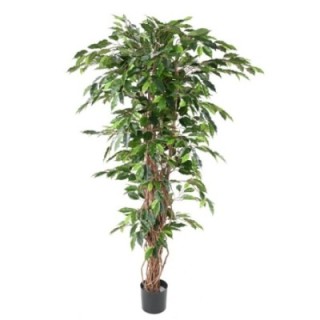 Künstlicher Ficus, ca. 150cm - premium