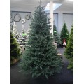 Künstliche Fraser-Tanne PE/PVC, ca. 170cm