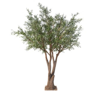 Künstlicher Olivenbaum, ca. 330cm hoch, silbergrün