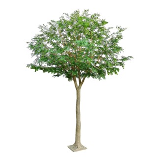 Künstlicher Bucida, ca. 450cm hoch, grün