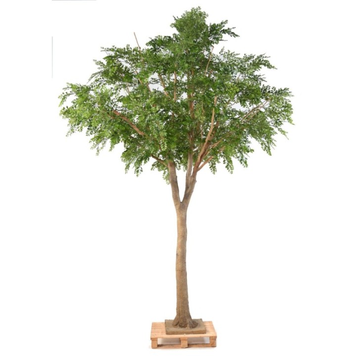 Künstlicher Bucida, ca. 360cm hoch, grün