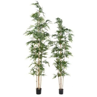 Künstlicher Bambus, ca. 320cm hoch, grün