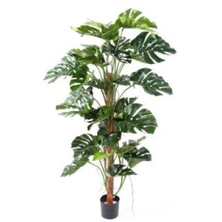 Künstlicher Philodendron Monstera, ca. 160cm hoch, grün