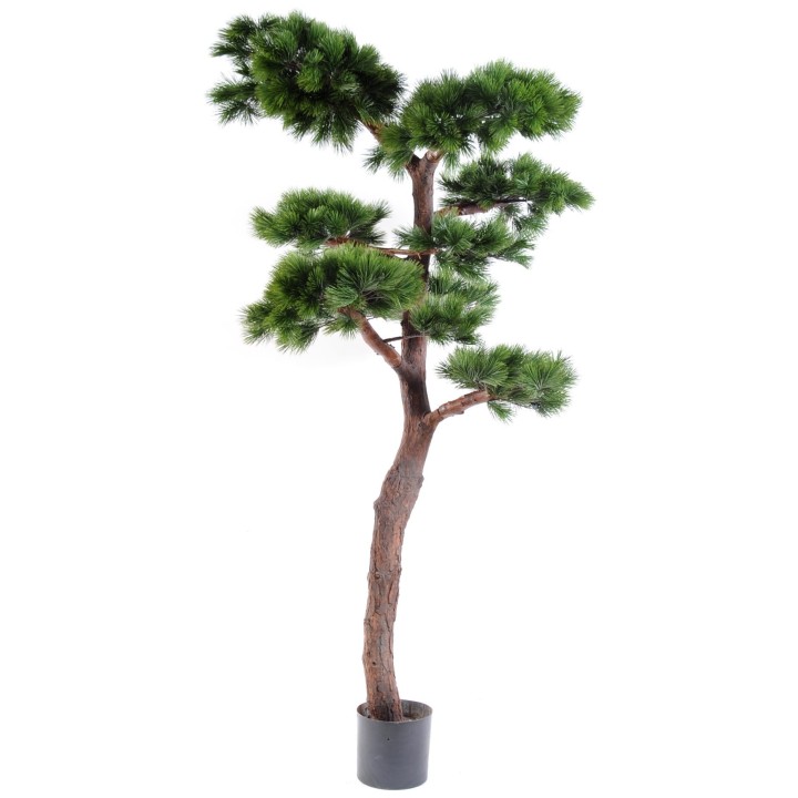 Künstliche Bonsai-Kiefer, ca. 220cm hoch, grün