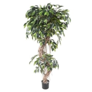 Künstlicher Ficus, ca. 180cm hoch, grün