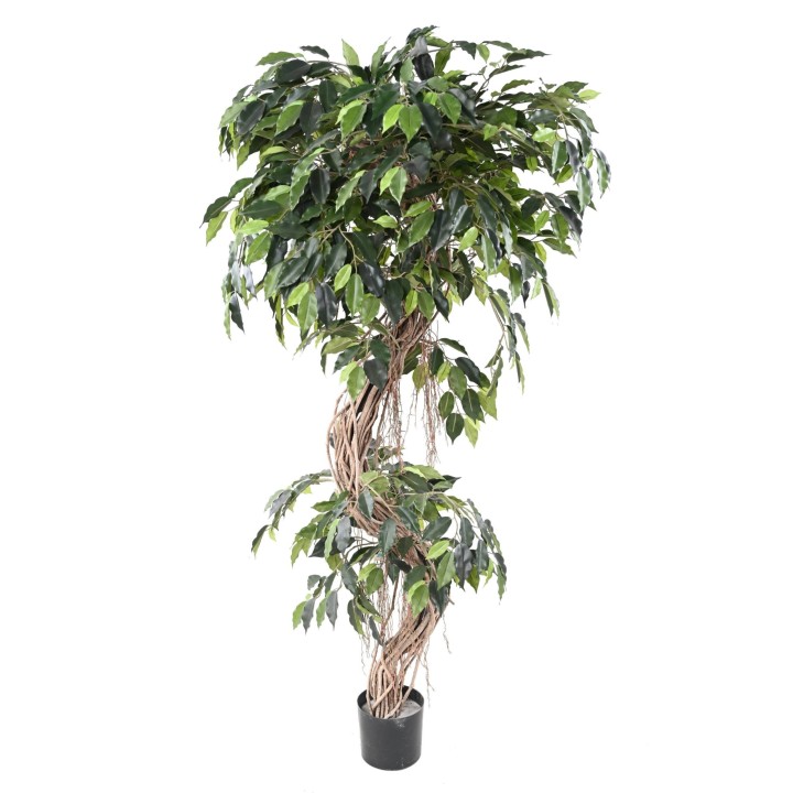 Künstlicher Ficus, ca. 180cm hoch, grün