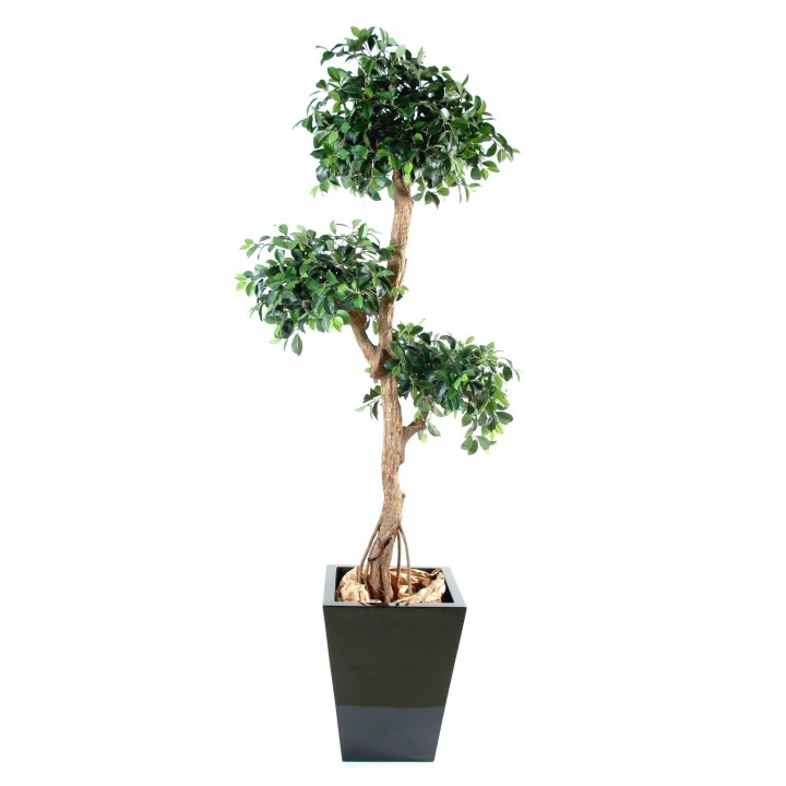 Künstlicher Ficus Retusa, ca. 150cm hoch, grün