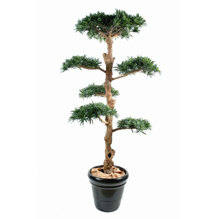 Künstlicher Podocarpus Baum, ca. 150cm hoch, grün