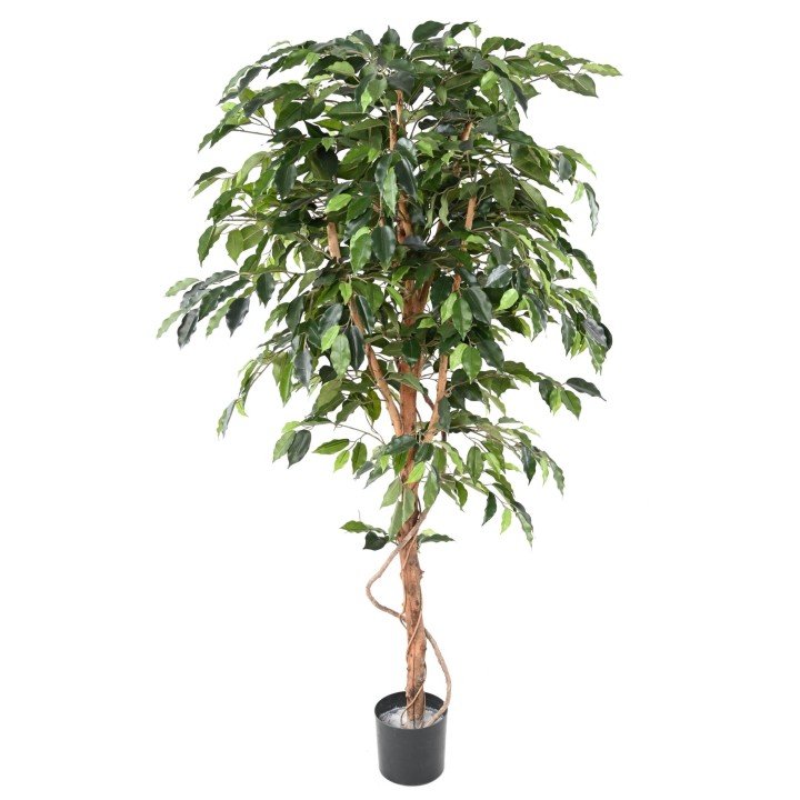 Künstlicher Ficus, ca. 120cm hoch, grün