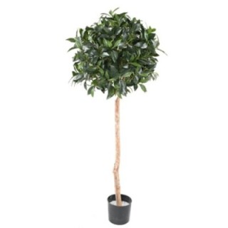 Künstlicher Ficus, ca. 150cm hoch, grün