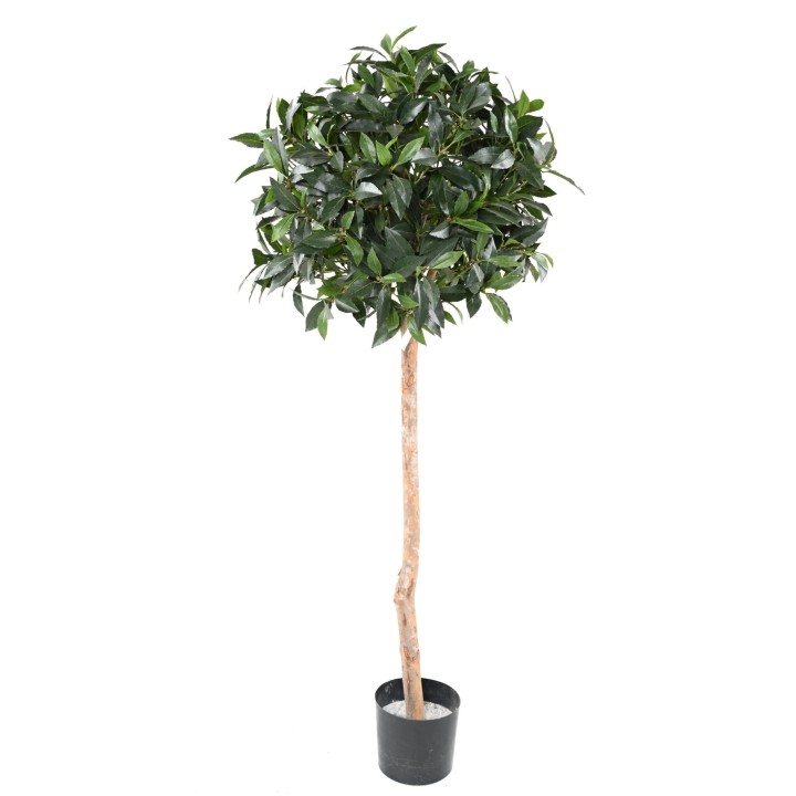 Künstlicher Ficus, ca. 150cm hoch, grün