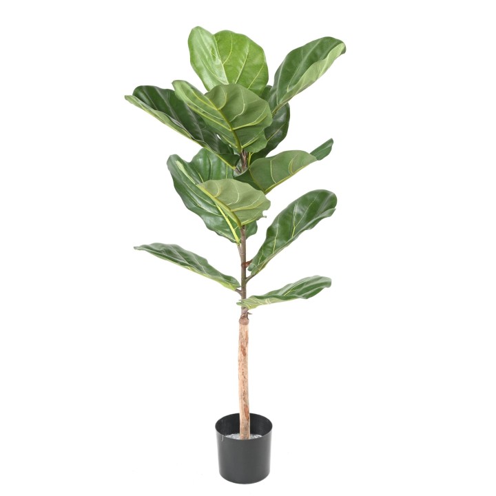 Künstlicher Ficus Lyrata, ca. 100cm hoch, grün