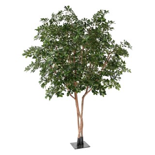 Künstlicher Ficus Black Olive Tree, ca. 310cm hoch, grün