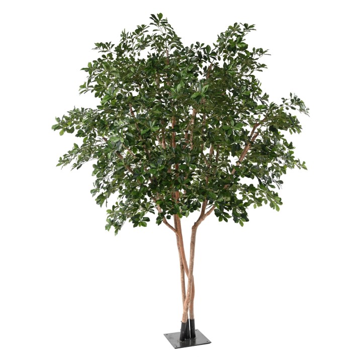Künstlicher Ficus Black Olive Tree, ca. 310cm hoch, grün