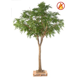 Künstlicher Bucida, ca. 360cm hoch, grün