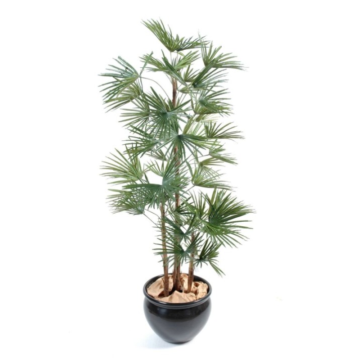 Künstliche Livistona, ca. 140cm, grün