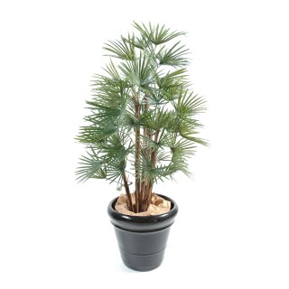 Künstliche Livistona, ca. 110cm, grün