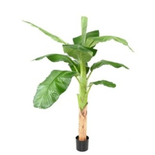 Künstlicher Bananenbaum, ca. 170cm, grün